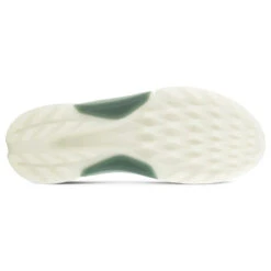 Ecco Biom H4 BOA Gore-Tex Golf Shoes -Golfausrüstungsgeschäft Ecco Biom H 4 BOA Gore Tex Golf Shoes Magnet Frosty Green 6