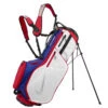 Nike Air Hybrid 2 Golf Stand Bag 1 Nike Air Hybrid 2 Golf Stand Bag -Golfausrüstungsgeschäft Nike Air Hybrid 2 Stand Bag DR5132 679 Gym Red Dee Royal Silver 1